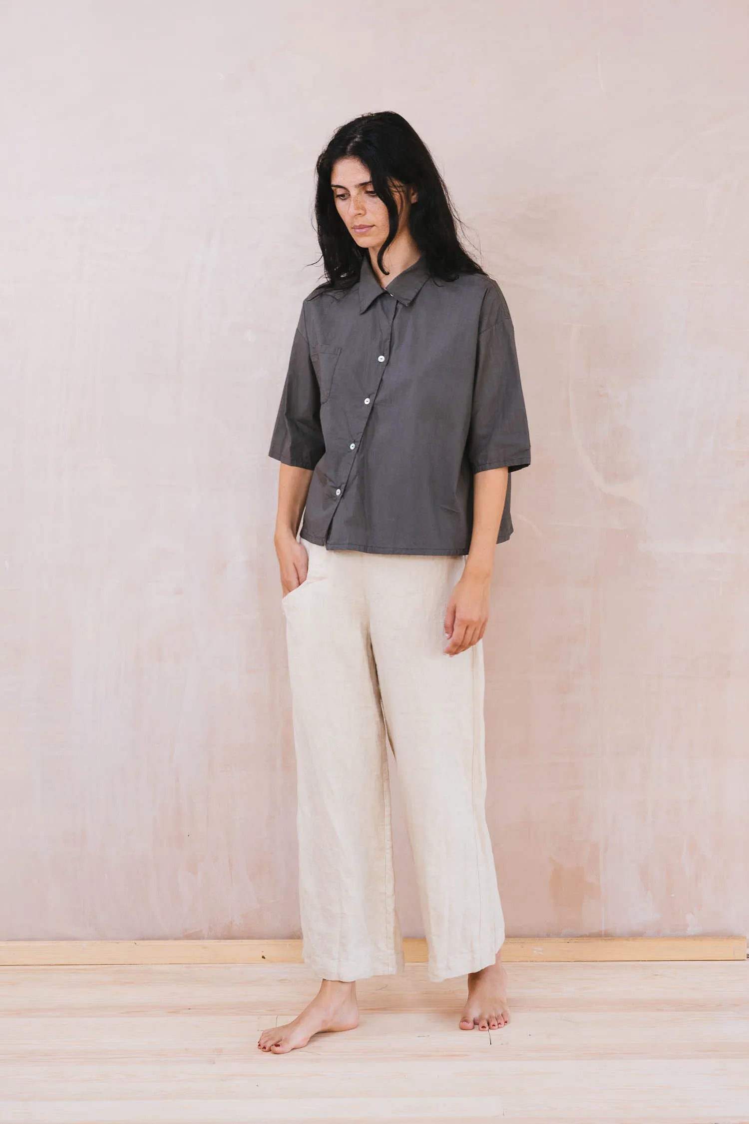 clean new shirt cotton poplin