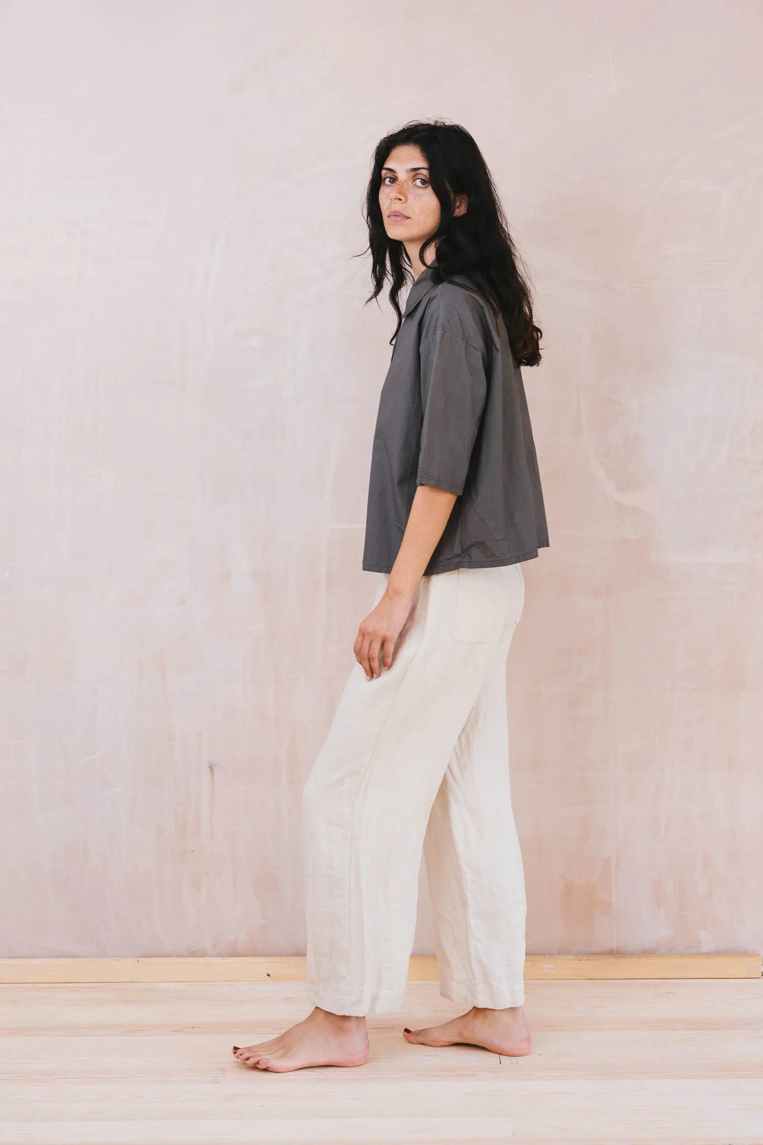clean new shirt cotton poplin