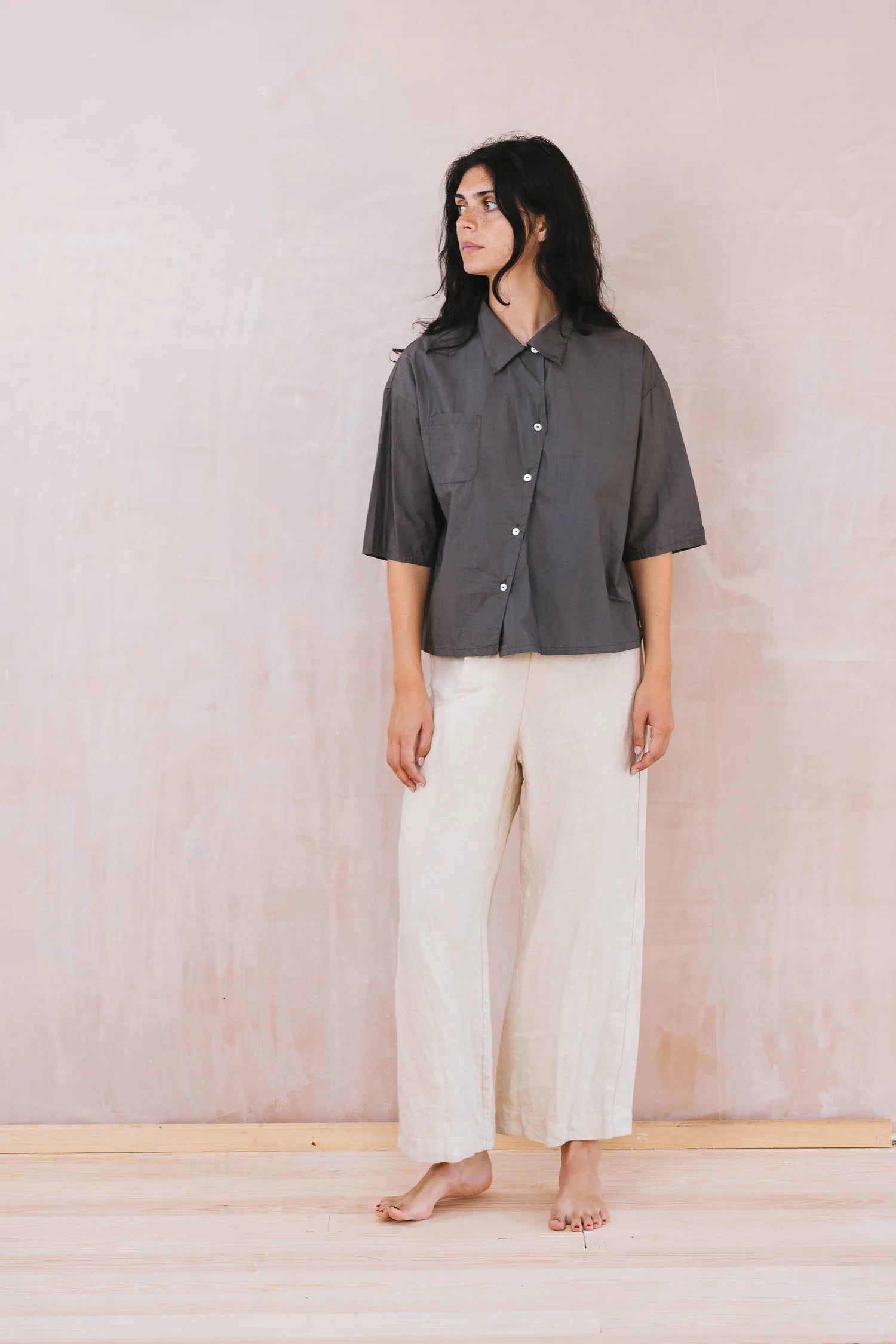 clean new shirt cotton poplin
