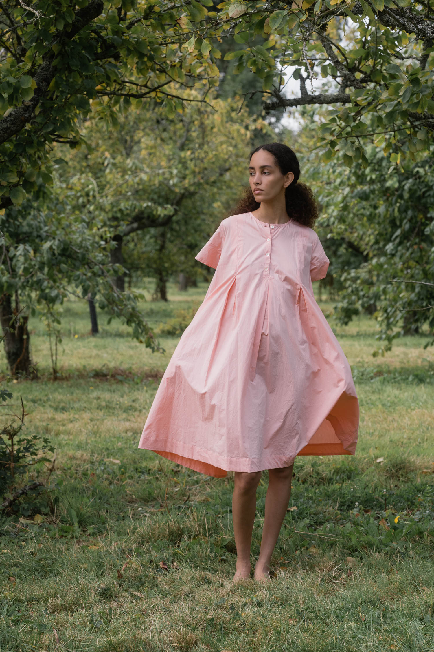 sale dolls dress cotton poplin image 3