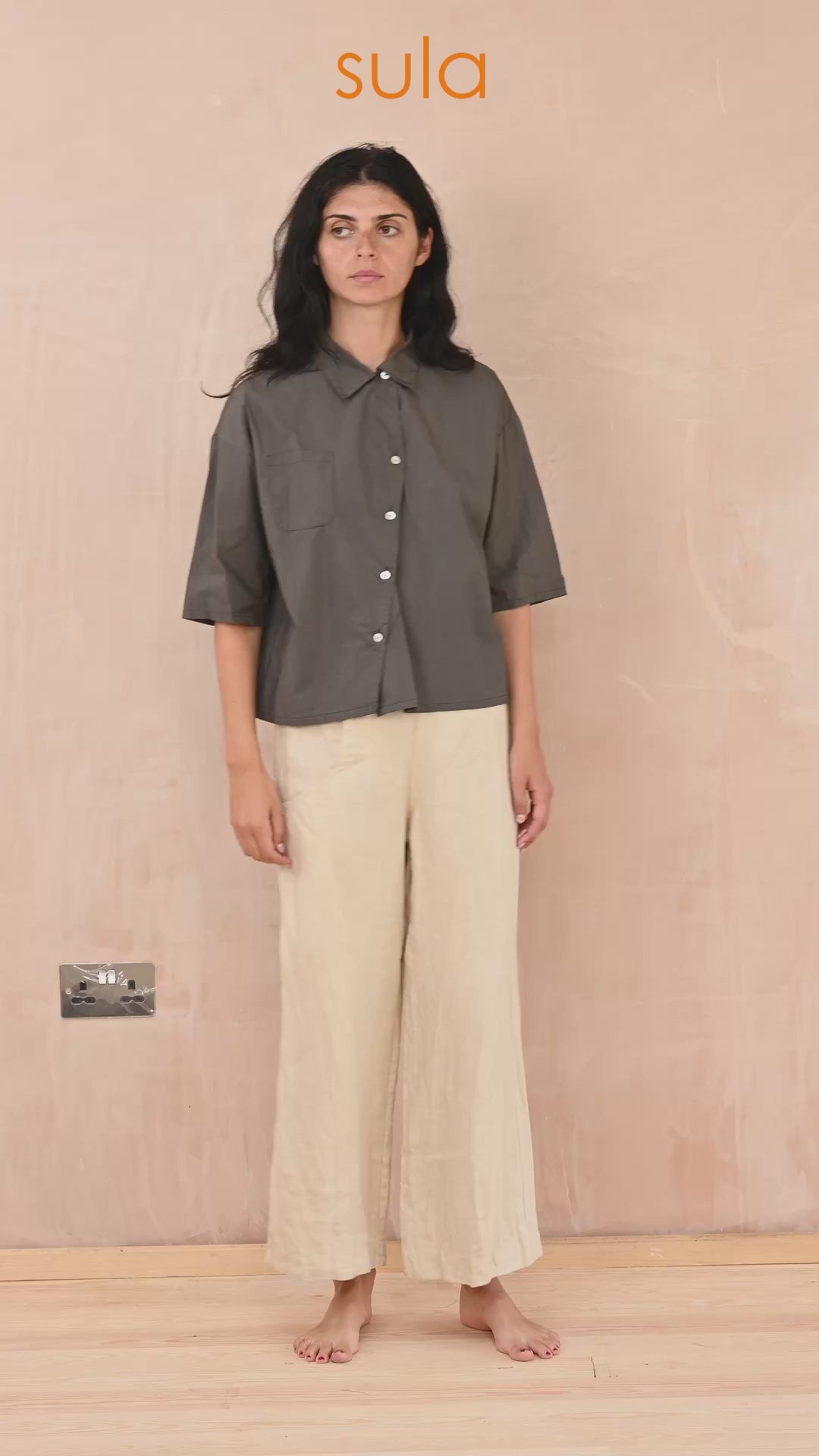 clean new shirt cotton poplin
